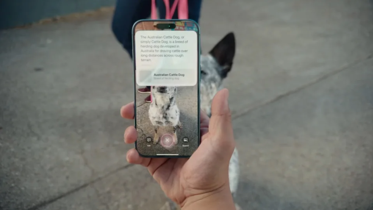 How to use Visual Intelligence, Apple's take on Google Lens - Kowatek ...