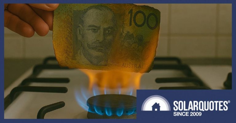Money is burned over a gas stovetop