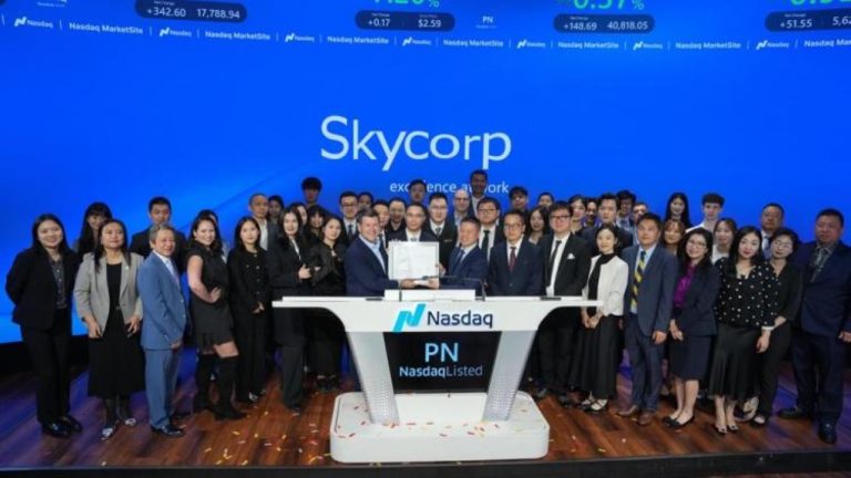 The company plans to carry out thorough due diligence on prospective power plant targets. Image: Skycorp Solar Group via NASDAQ