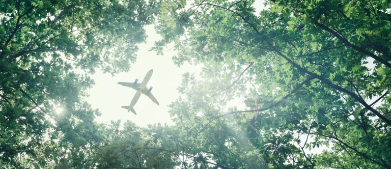 clean fuel, plane flying above trees
