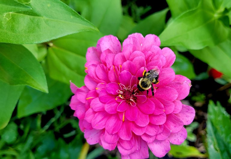  I am determined - Photo