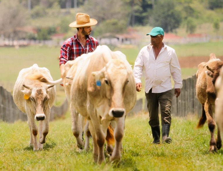 Depositphotos_161094778_XL-scaled-e1770110626204