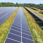 MAGA Influencers Love Solar Power, And So Does Elon Musk